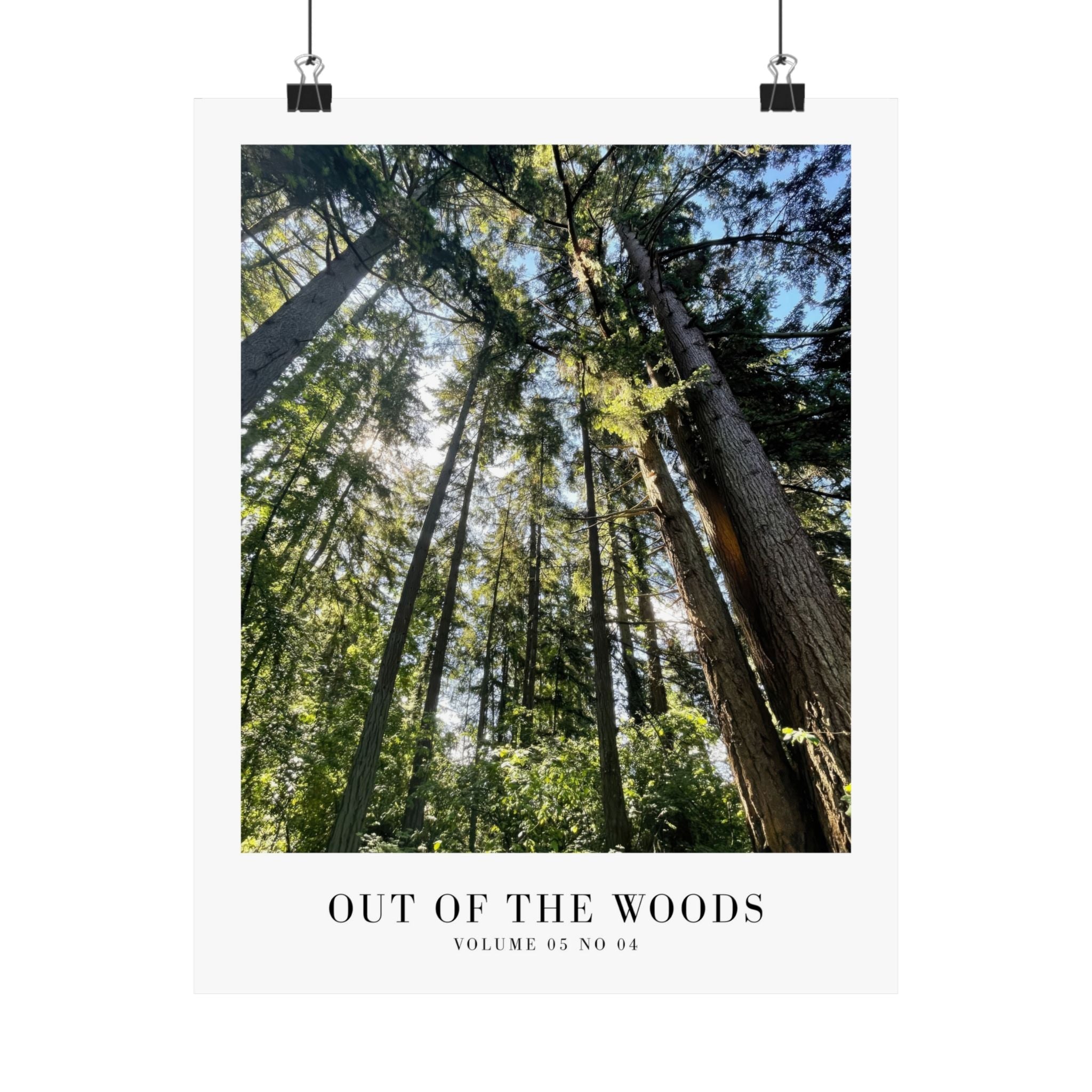 1989 Out of the Woods wall art in cozy nature-inspired bedroom