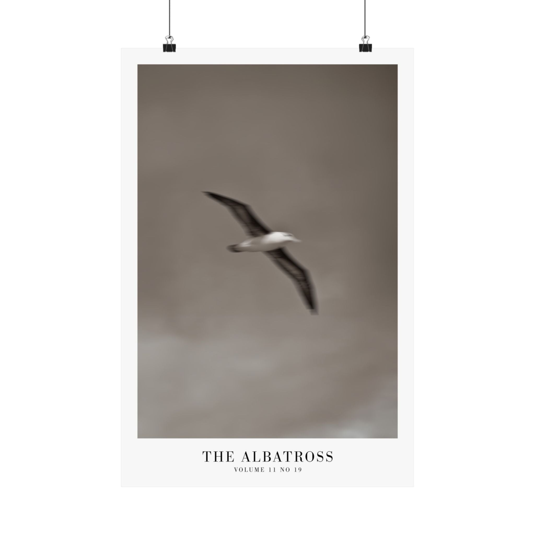 The Albatross Tortured Poets Department Taylor Swift–inspired poster — detail view 6