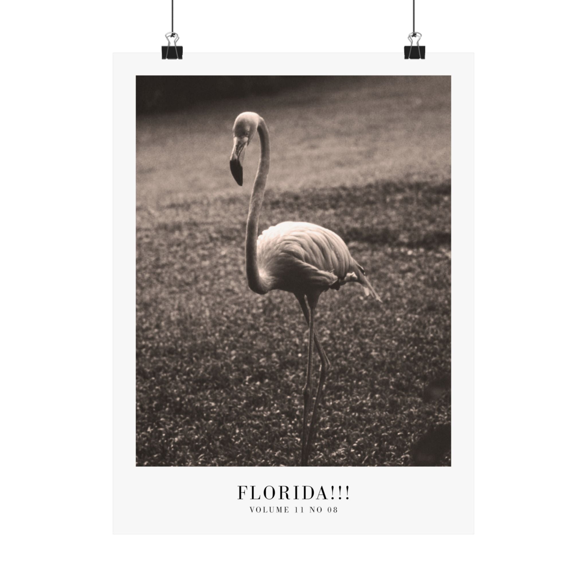 Florida!!! Tortured Poets Department Taylor Swift–inspired poster — detail view 9