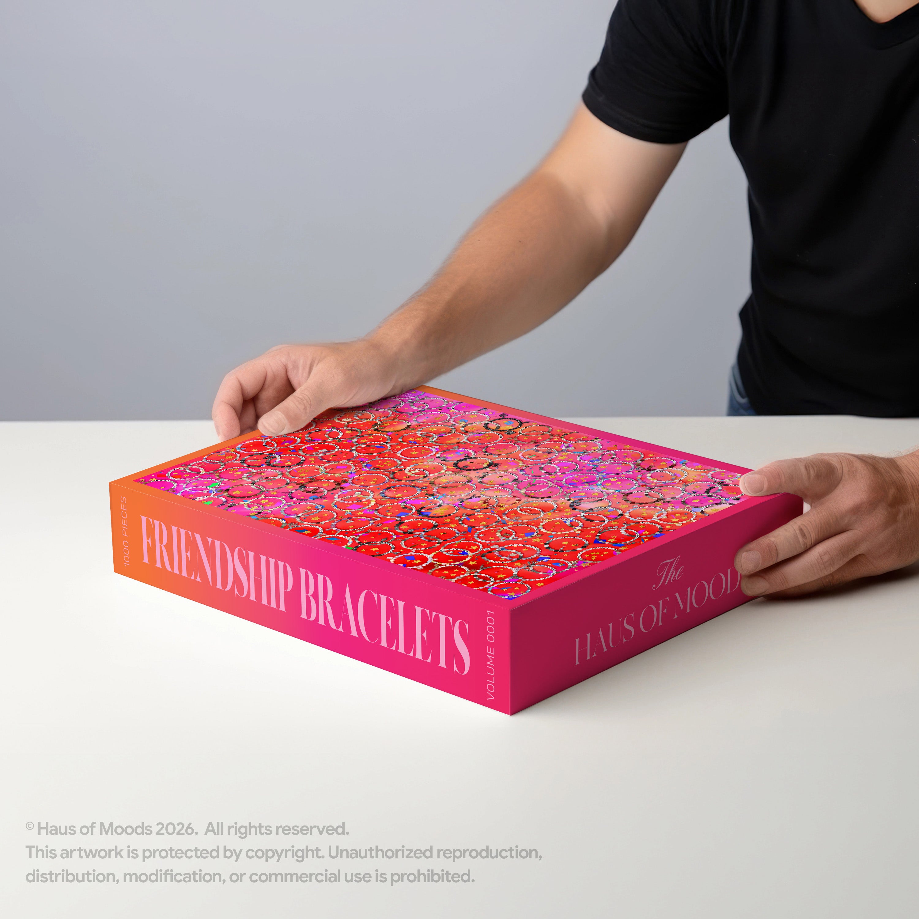 Taylor The Eras Friendship Bracelets Puzzle © - Haus Of Moods