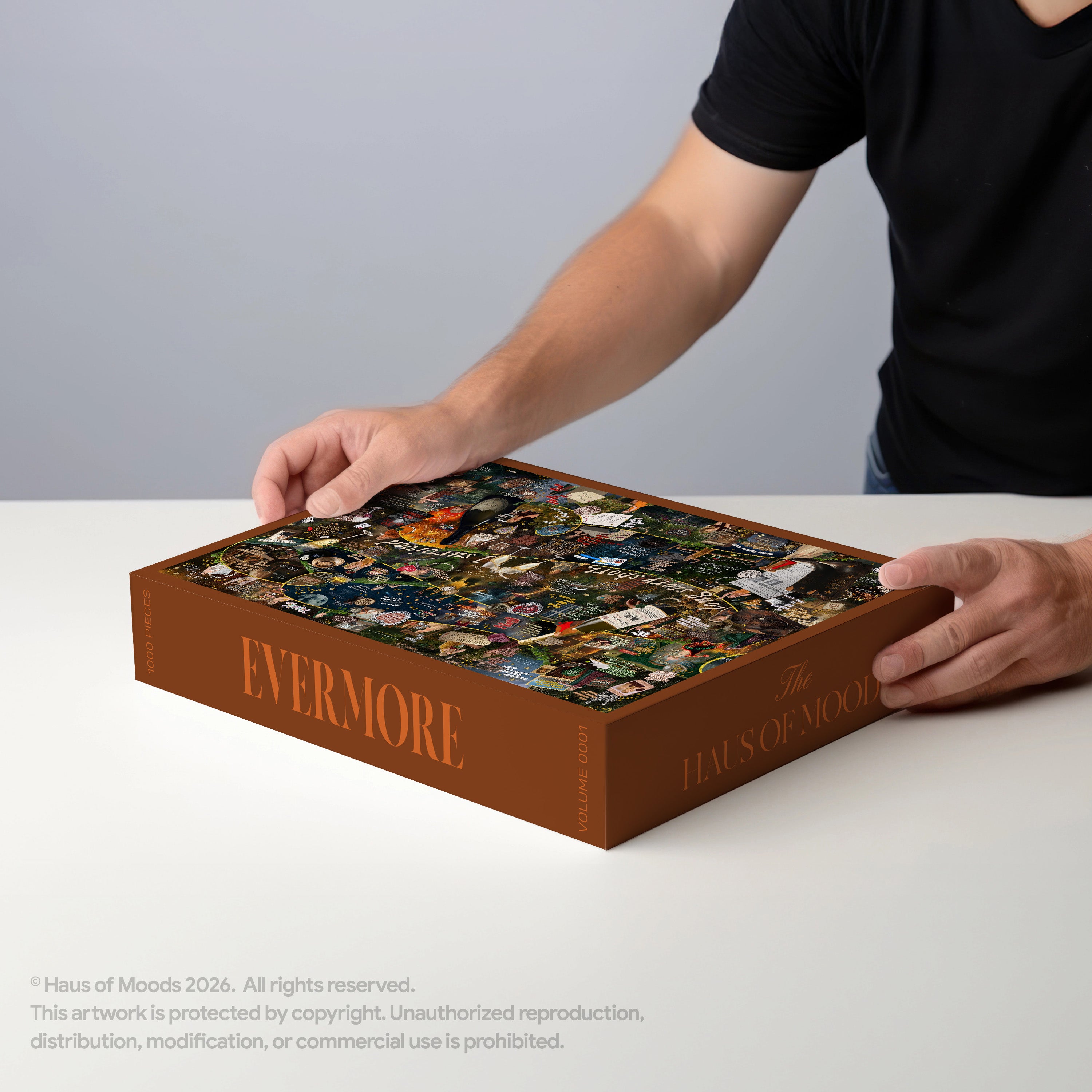 Evermore Era Lyrics & Easter Eggs Puzzle ©