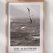 The Albatross Poster | Poets Era Print |  Poets Era Wall Art | Music Album-Inspired Poster | Tay Poster