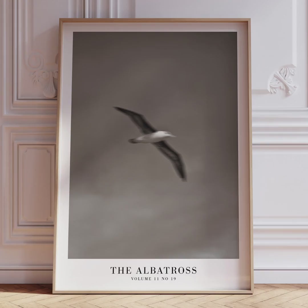 The Albatross Ocean Poster