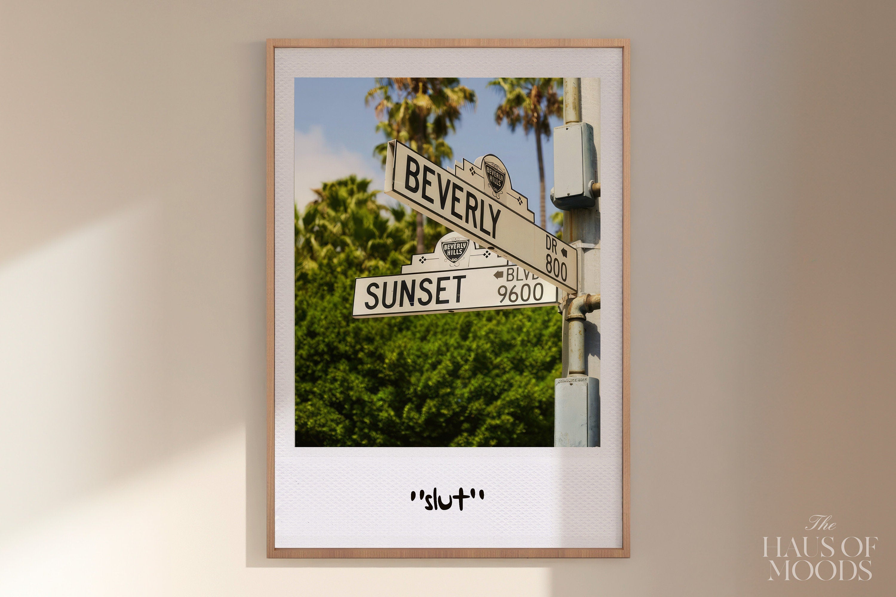 Slvt Polaroid.